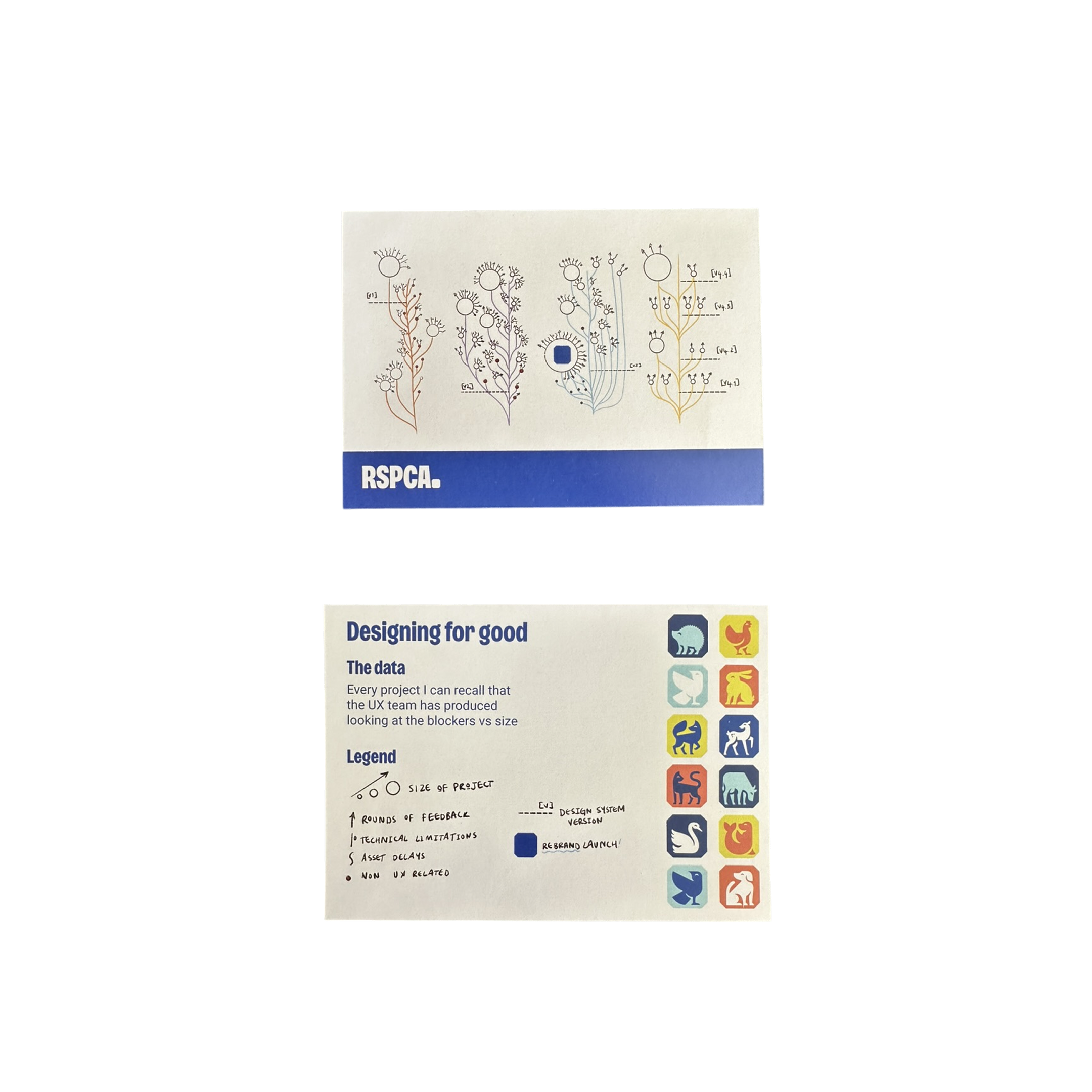RSPCA UX Team Projects